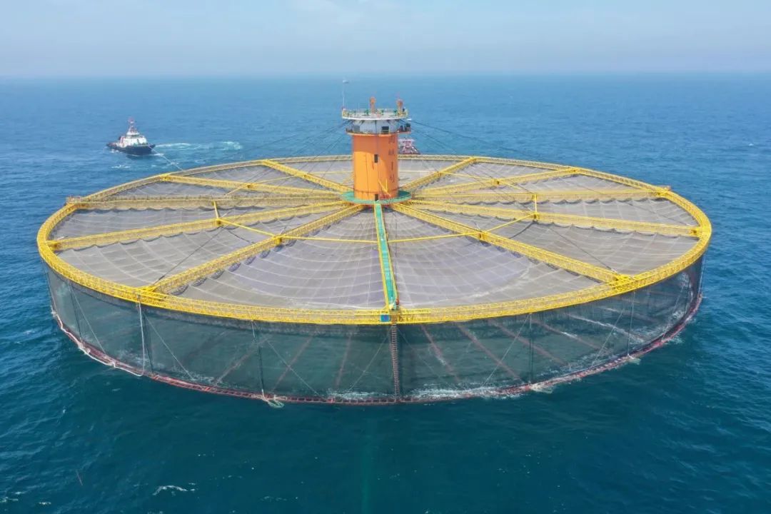 11039ffbca830130c60e7a8cd1a39072