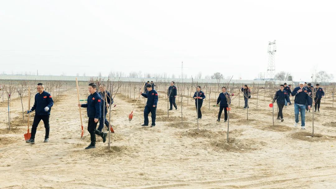 784f1eb338fd9415b3de5f374dd11edb