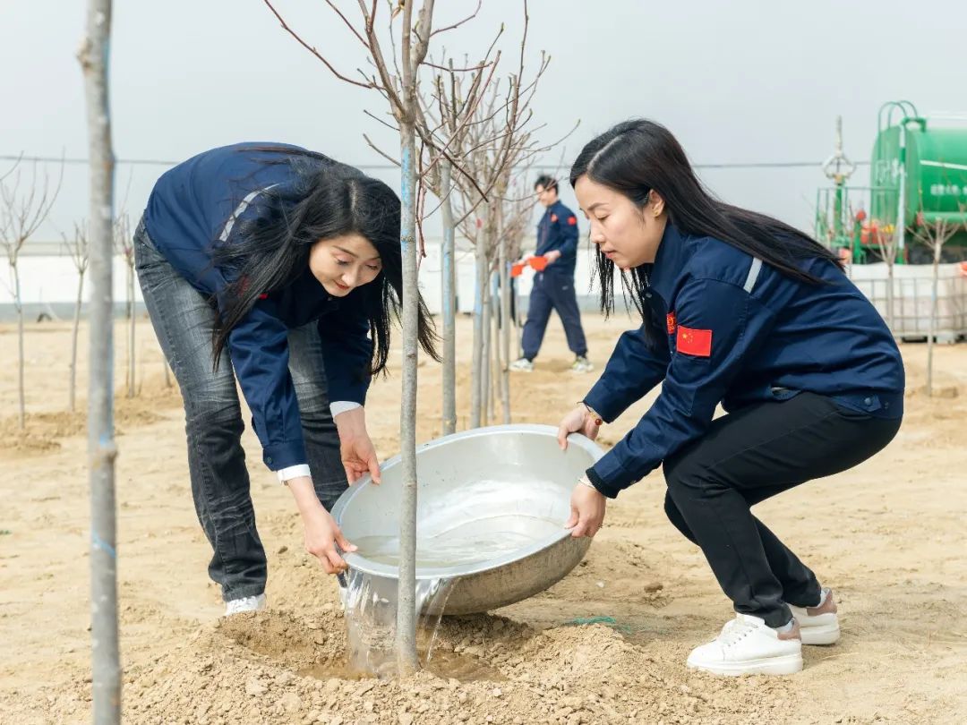 83e0cd43810903e4c423249c9ed110a3