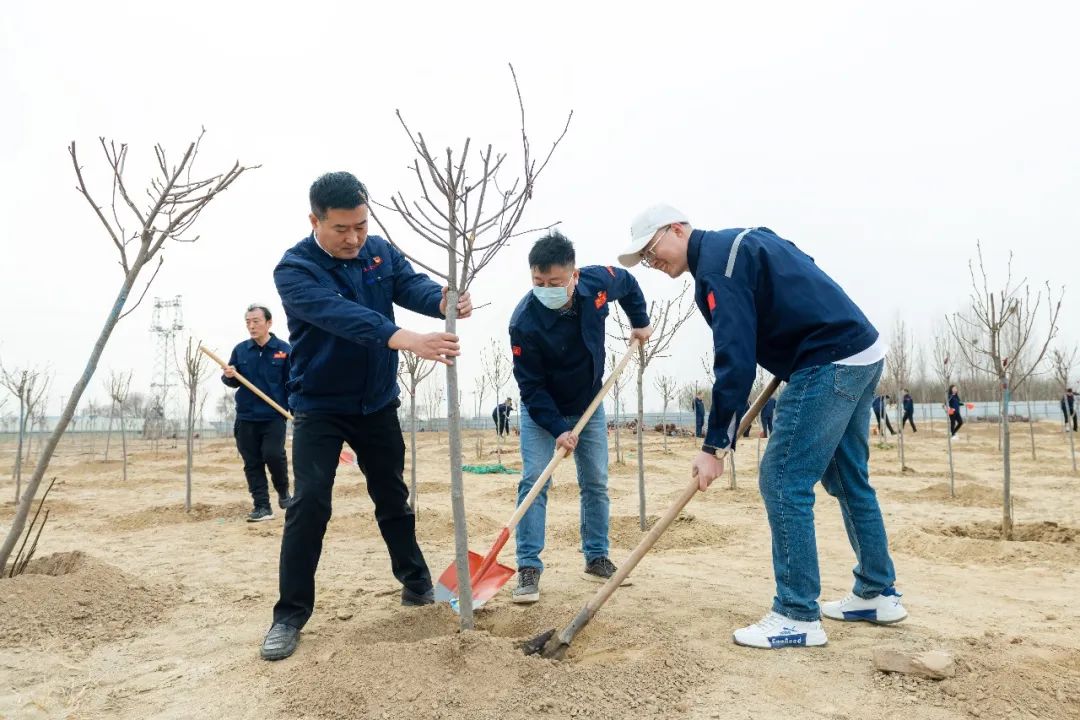 bd069e5af375fae107084bedef26064a