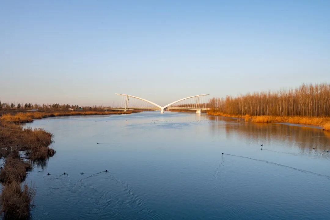 bc544db2f24264ce4272bccbbbdea0c9